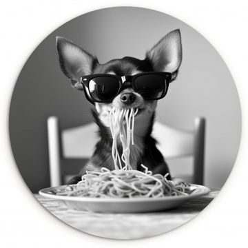 Runde Bilder - Chihuahua - Hund - Sonnenbrille - Humorvoll - Schwarz - Weiß - Spaghetti