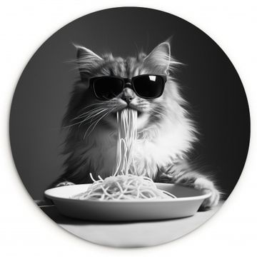 Langhaarkatze - Sonnenbrille - Spaghetti - Humor - Schwarz - Weiß