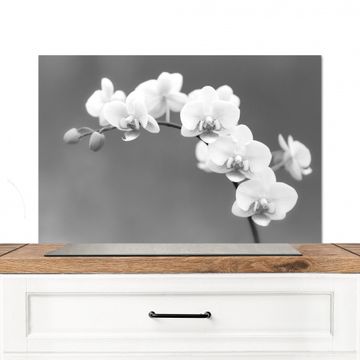 Spritzschutz Küche - Monochrome Orchideenpracht